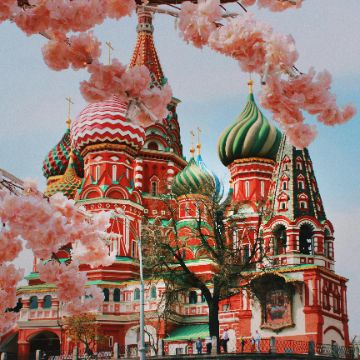 Фото на документы на дому Москва